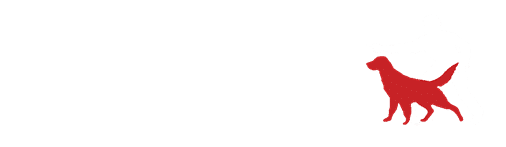 נתן פרל מאלף כלבים
